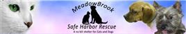Meadowbrook Safe Harbor Night